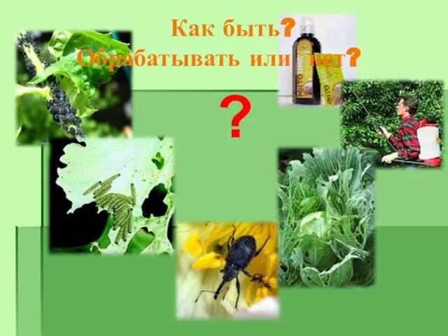 ? Как быть? Обрабатывать или нет?