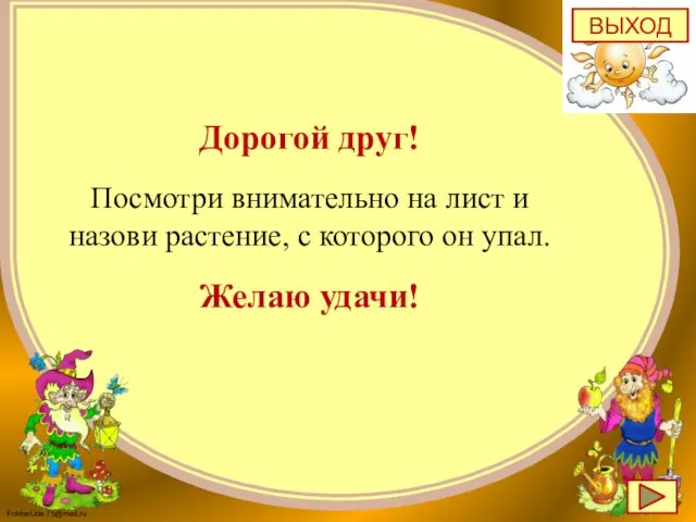 Дорогой друг! Посмотри внимательно на лист и назови растение, с которого он упал. Желаю удачи! ВЫХОД