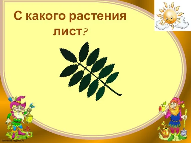 С какого растения лист?