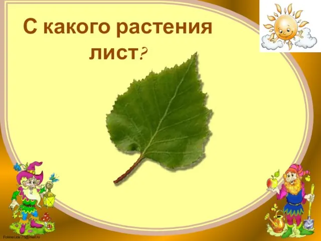 С какого растения лист?