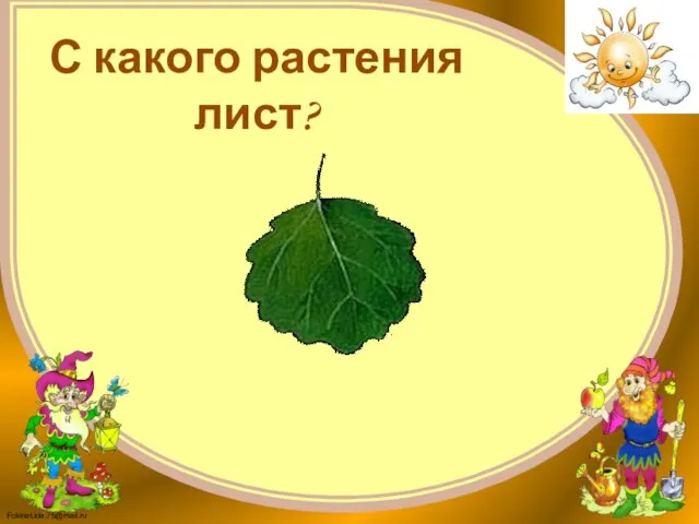 С какого растения лист?