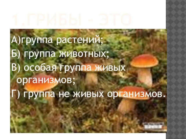 1.ГРИБЫ - ЭТО А)группа растений; Б) группа животных; В) особая группа живых