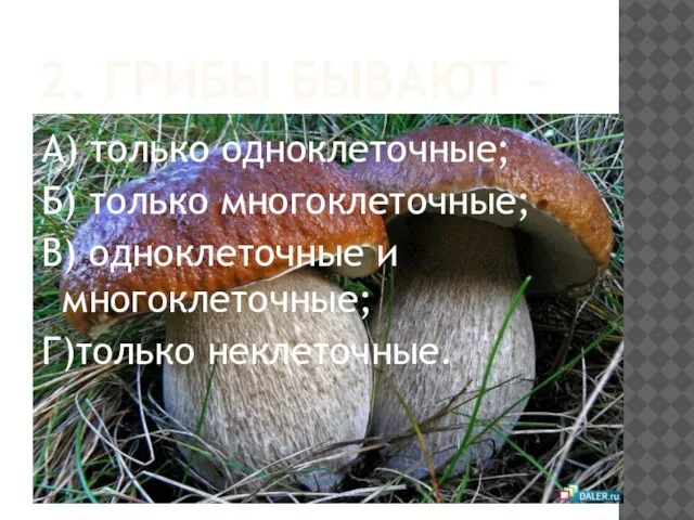 2. ГРИБЫ БЫВАЮТ - А) только одноклеточные; Б) только многоклеточные; В) одноклеточные и многоклеточные; Г)только неклеточные.