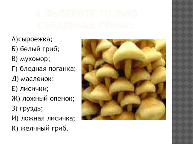 4. ВЫБЕРИТЕ ТОЛЬКО СЪЕДОБНЫЕ ГРИБЫ: А)сыроежка; Б) белый гриб; В) мухомор; Г)