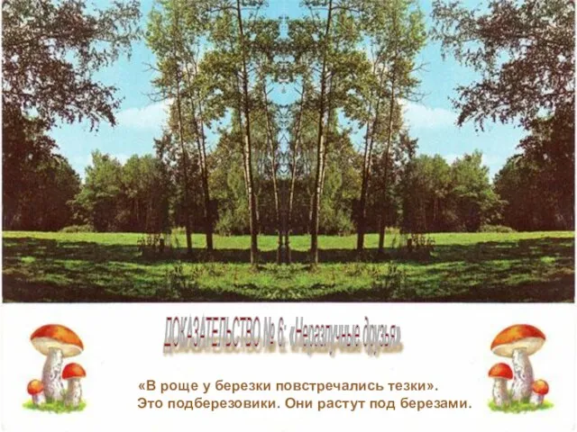 «В роще у березки повстречались тезки». Это подберезовики. Они растут под березами.