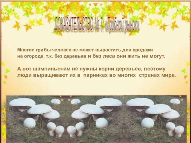 Многие грибы человек не может вырастить для продажи на огороде, т.к. без