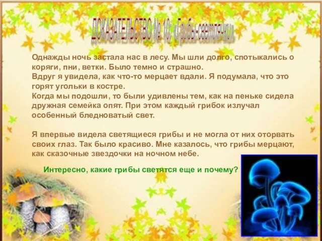 Интересно, какие грибы светятся еще и почему? ДОКАЗАТЕЛЬСТВО № 10: «Грибы-светлячки» Однажды