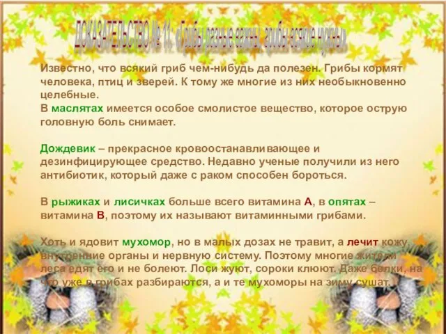 Известно, что всякий гриб чем-нибудь да полезен. Грибы кормят человека, птиц и