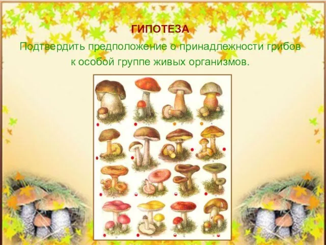ГИПОТЕЗА Подтвердить предположение о принадлежности грибов к особой группе живых организмов.