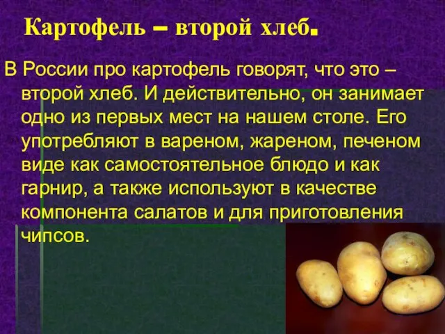 Картофель – второй хлеб. В России про картофель говорят, что это –