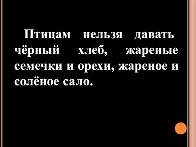 Птицам нельзя давать чёрный хлеб, жареные семечки и орехи, жареное и солёное сало.