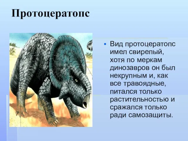 Протоцератопс Вид протоцератопс имел свирепый, хотя по меркам динозавров он был некрупным