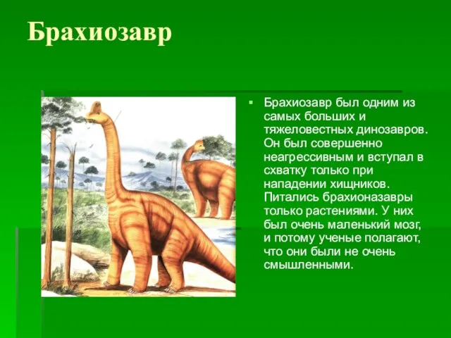 Брахиозавр Брахиозавр был одним из самых больших и тяжеловестных динозавров. Он был