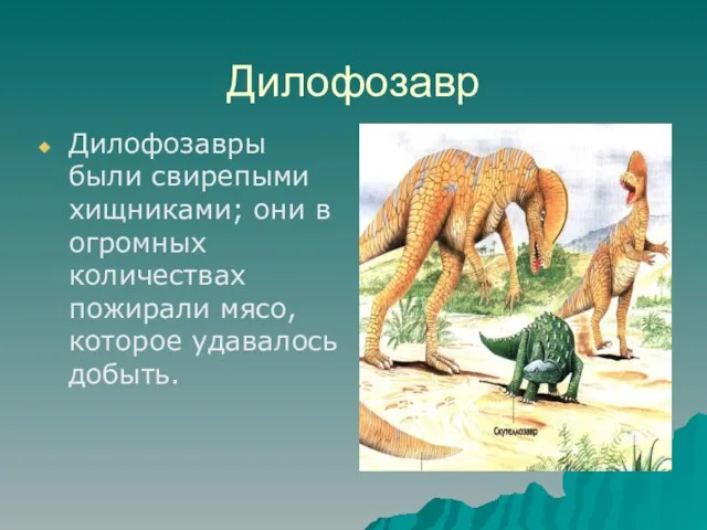 Дилофозавр Дилофозавры были свирепыми хищниками; они в огромных количествах пожирали мясо, которое удавалось добыть.