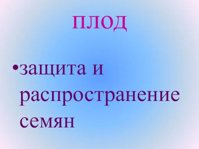 плод защита и распространение семян