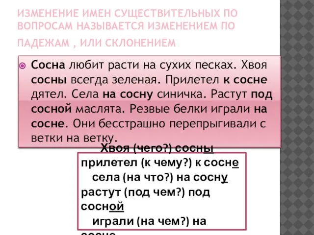 Изменение имен существительных по вопросам называется изменением по падежам , или склонением.