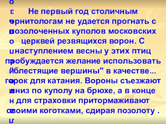 Не первый год столичным орнитологам не удается прогнать с позолоченных куполов московских