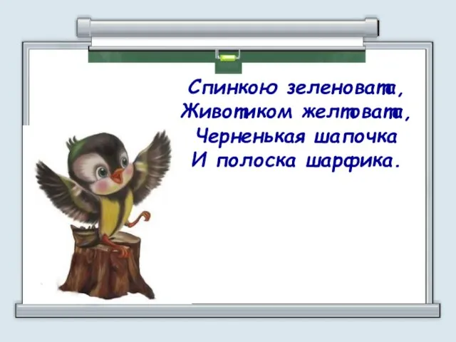 Спинкою зеленовата, Животиком желтовата, Черненькая шапочка И полоска шарфика.