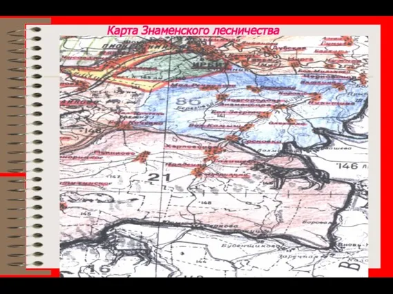 Карта Знаменского лесничества