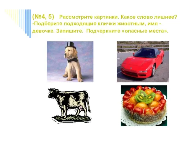 (№4, 5) Рассмотрите картинки. Какое слово лишнее? -Подберите подходящие клички животным, имя