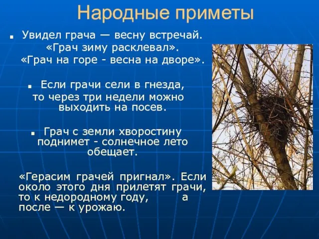 Народные приметы Увидел грача — весну встречай. «Грач зиму расклевал». «Грач на