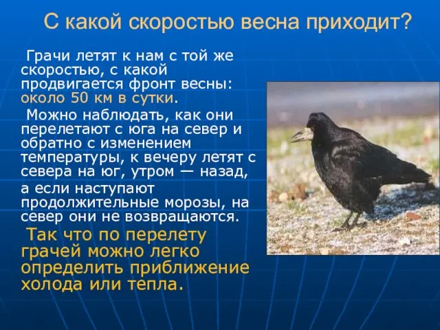 С какой скоростью весна приходит? Грачи летят к нам с той же