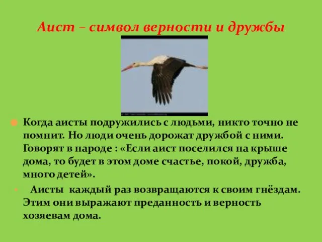 Аист – символ верности и дружбы Когда аисты подружились с людьми, никто