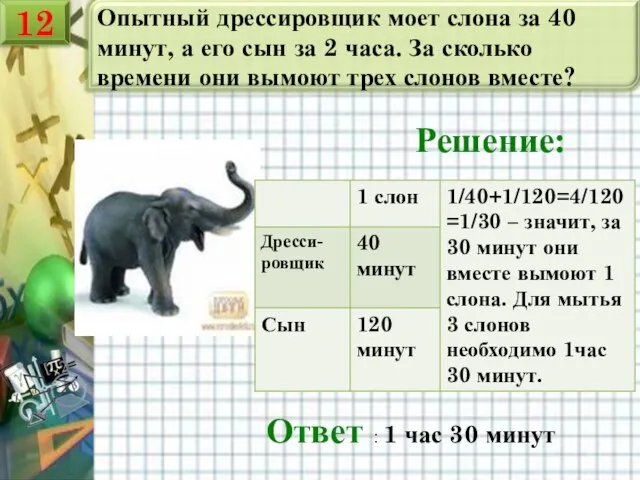 Опытный дрессировщик моет слона за 40 минут, а его сын за 2