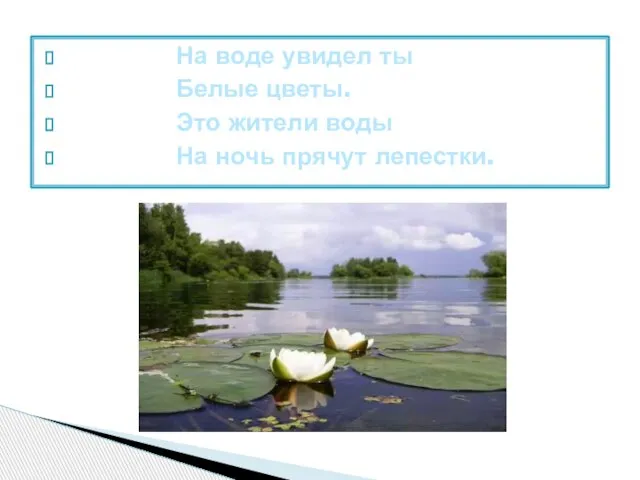 На воде увидел ты Белые цветы. Это жители воды На ночь прячут лепестки.