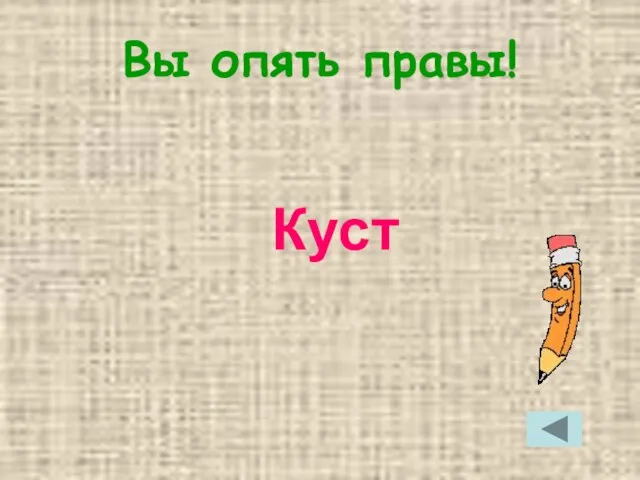 Вы опять правы! Куст