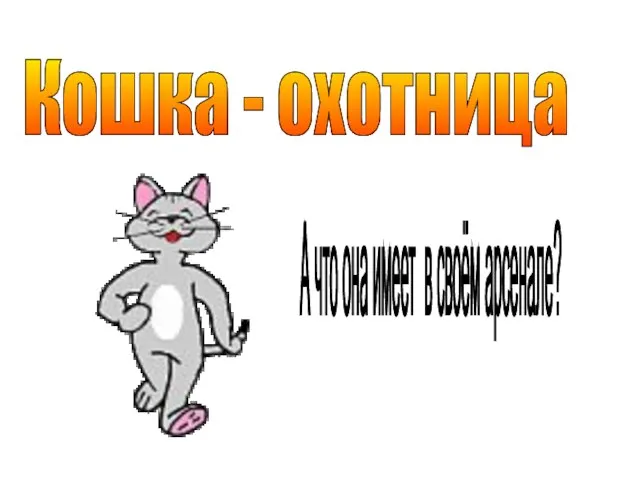 Кошка - охотница А что она имеет в своём арсенале?