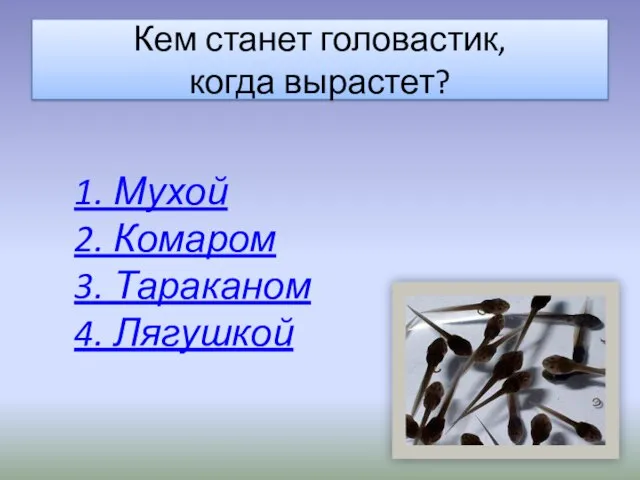 Кем станет головастик, когда вырастет? 1. Мухой 2. Комаром 3. Тараканом 4. Лягушкой