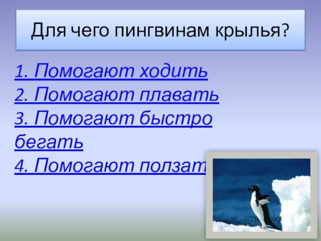 Для чего пингвинам крылья? 1. Помогают ходить 2. Помогают плавать 3. Помогают