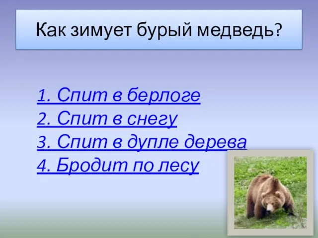 Как зимует бурый медведь? 1. Спит в берлоге 2. Спит в снегу