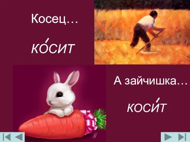 Косец… КОСИТ А зайчишка… КОСИТ