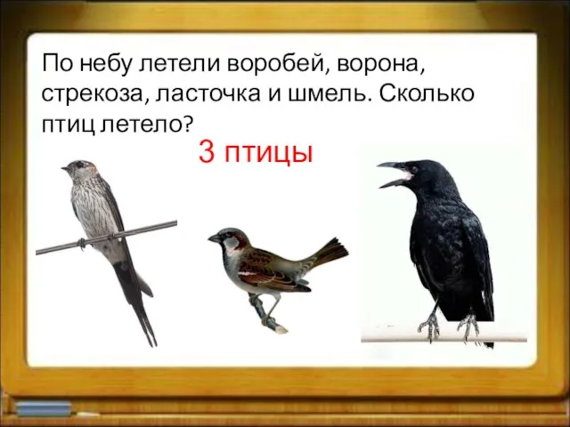 По небу летели воробей, ворона, стрекоза, ласточка и шмель. Сколько птиц летело? 3 птицы