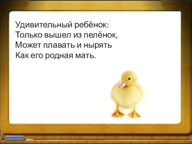 Удивительный ребёнок: Только вышел из пелёнок, Может плавать и нырять Как его родная мать.