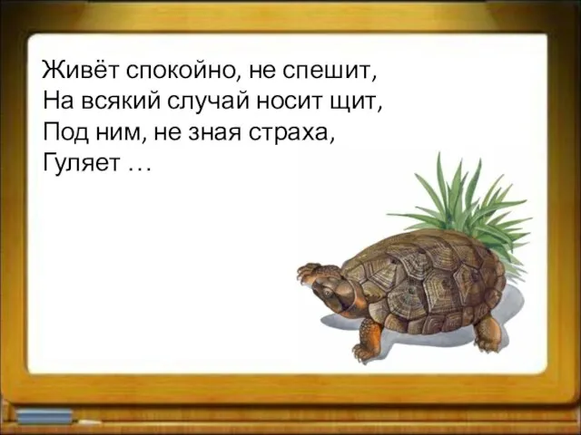 Живёт спокойно, не спешит, На всякий случай носит щит, Под ним, не зная страха, Гуляет …