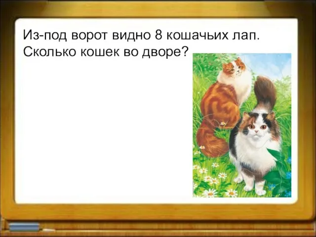 Из-под ворот видно 8 кошачьих лап. Сколько кошек во дворе?