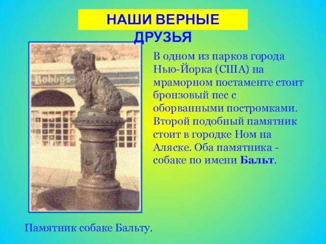 НАШИ ВЕРНЫЕ ДРУЗЬЯ Памятник собаке Бальту. В одном из парков города Нью-Йорка