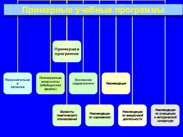 Примерные учебные программы