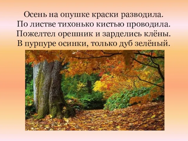 Осень на опушке краски разводила. По листве тихонько кистью проводила. Пожелтел орешник