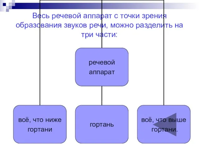 Весь речевой аппарат с точки зрения образования звуков речи, можно разделить на три части: