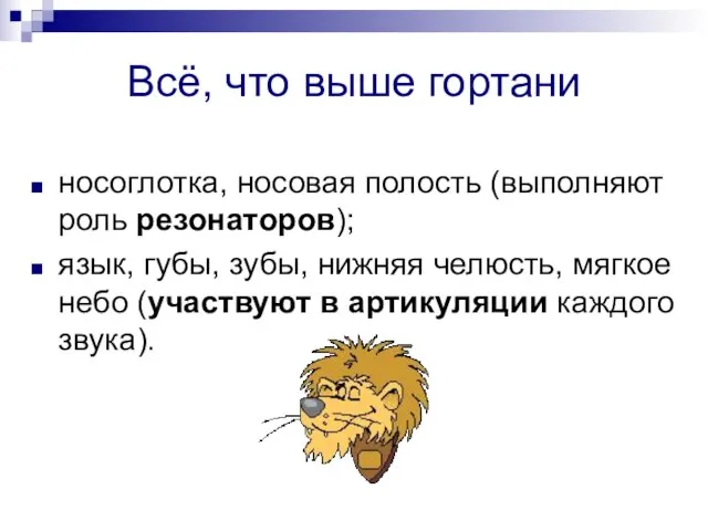 Всё, что выше гортани носоглотка, носовая полость (выполняют роль резонаторов); язык, губы,