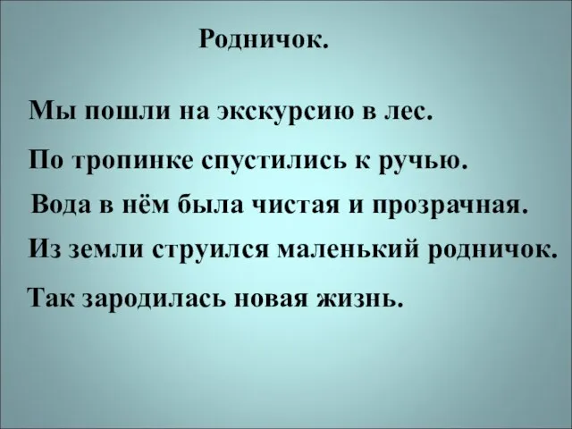 Родничок. Мы пошли на экскурсию в лес. По тропинке спустились к ручью.