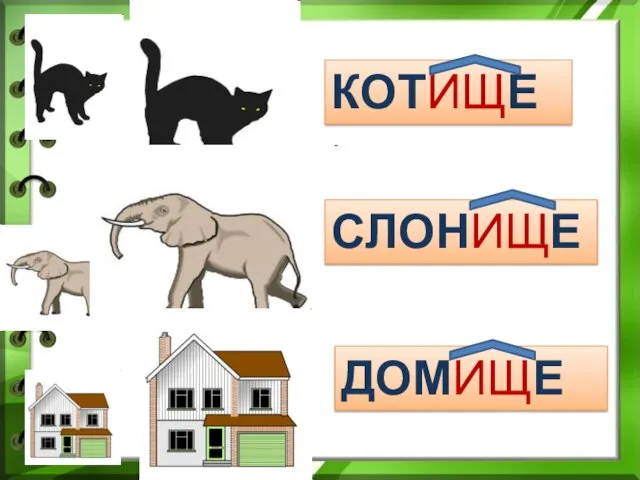 КОТИЩЕ КОТИЩЕ КОТИЩЕ КОТИЩЕ КОТИЩЕ СЛОНИЩЕ ДОМИЩЕ