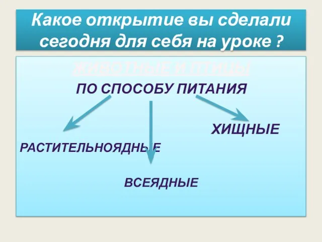 Какое открытие вы сделали сегодня для себя на уроке ? ЖИВОТНЫЕ И