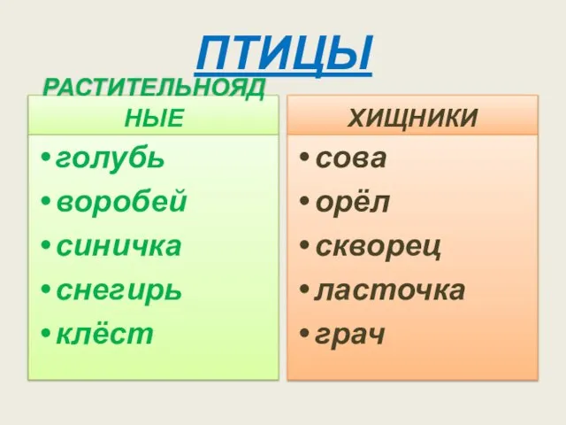 ПТИЦЫ РАСТИТЕЛЬНОЯДНЫЕ ХИЩНИКИ сова орёл скворец ласточка грач голубь воробей синичка снегирь клёст