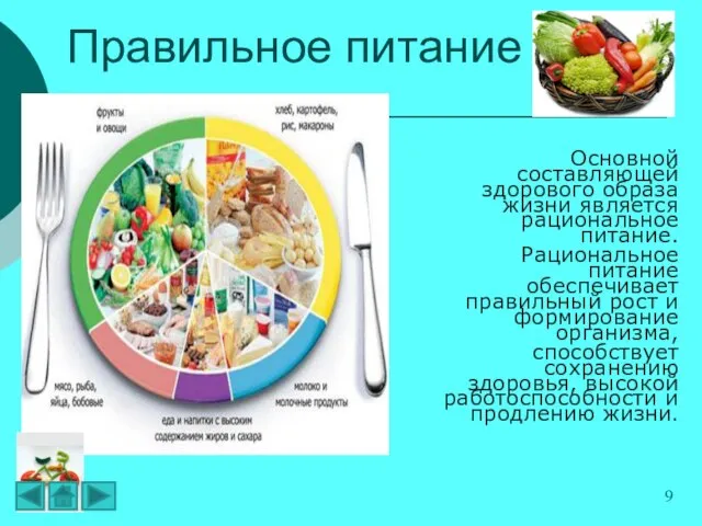 Правильное питание Основной составляющей здорового образа жизни является рациональное питание. Рациональное питание