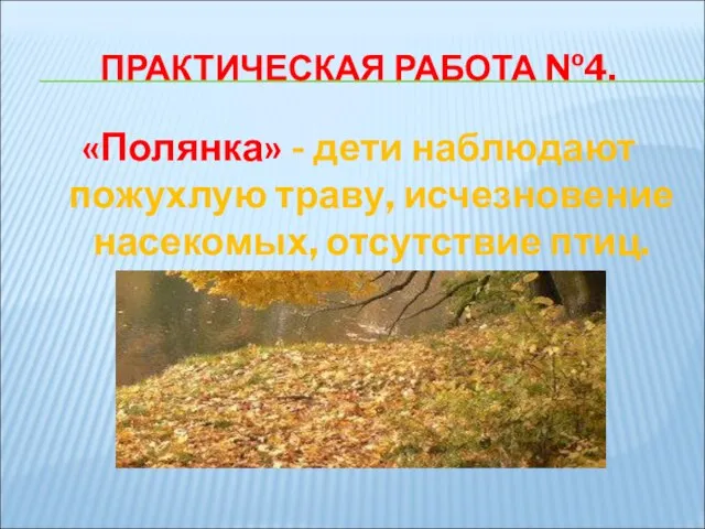 ПРАКТИЧЕСКАЯ РАБОТА №4. «Полянка» - дети наблюдают пожухлую траву, исчезновение насекомых, отсутствие птиц.